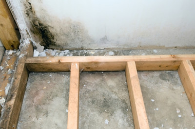 As mold grows in your home, it releases spores into the air